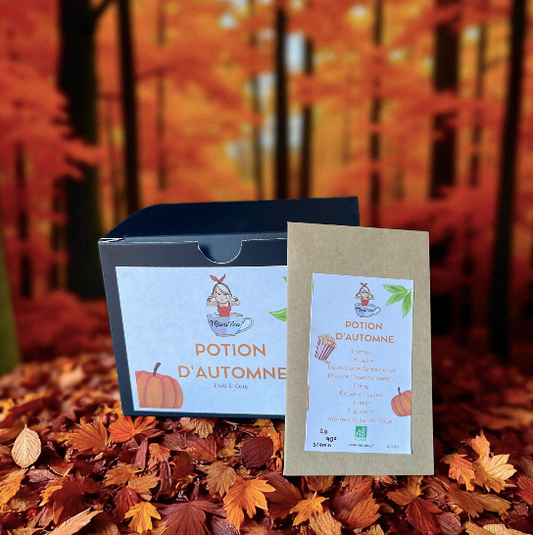 Potion d’Automne - Infusion Bio - Niwa Tea