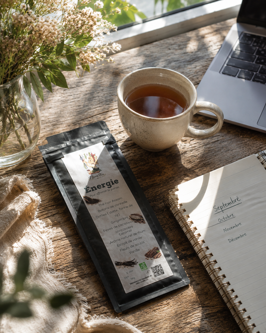 5 rituels bien-être pour une rentrée plus douce | Niwa Tea